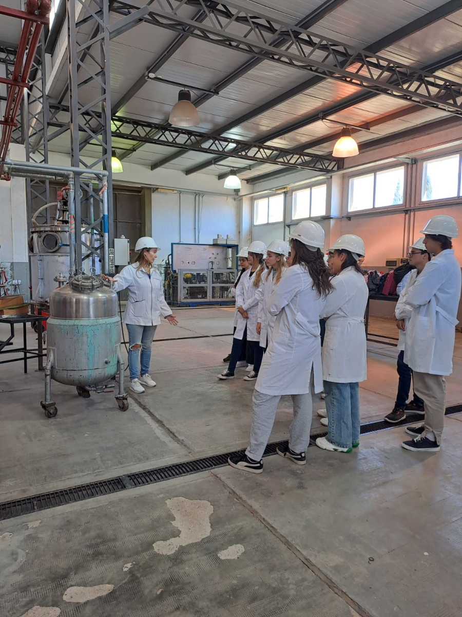 UN PROYECTO PIDI BUSCA FORTALECER LA ESCRITURA TÉCNICA EN INGENIERÍA QUÍMICA